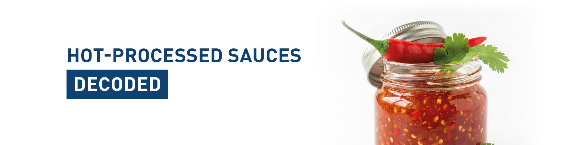 Header_Desktop_Hot Sauce3 Header_Desktop_Hot Sauce3