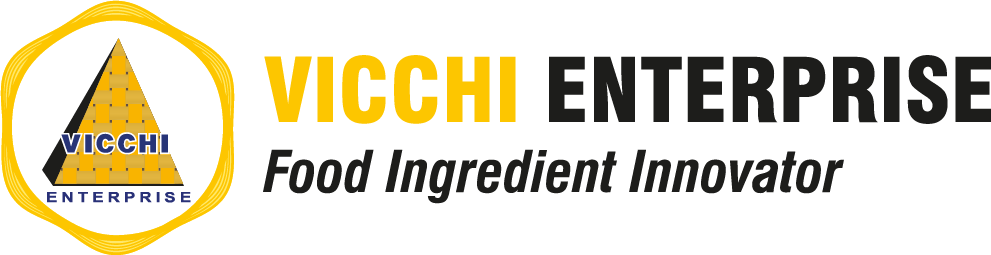 VICCHI Enterprise Logo